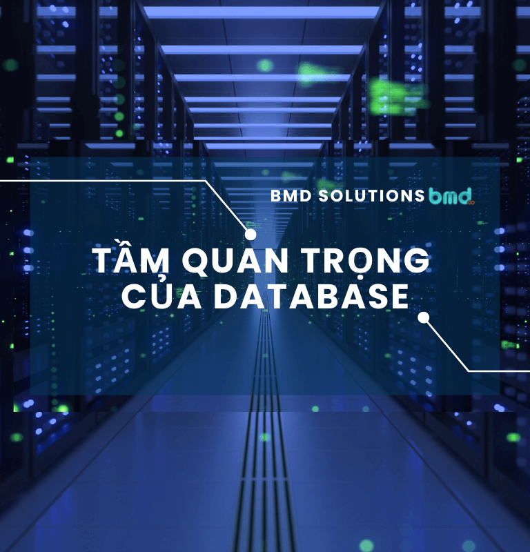 database-la-gi-cac-kieu-database-pho-bien