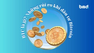btc-la-gi-nhung-rui-ro-khi-dau-tu-bitcoin